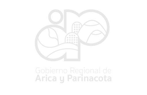 GORE Arica y Parinacota