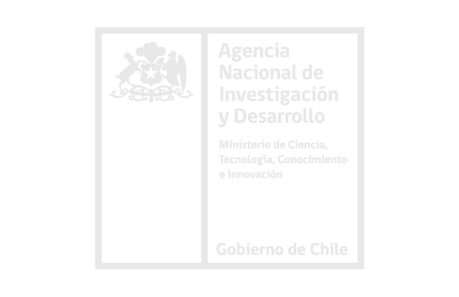 Asociación Nacional de Investigación y Desarrollo - ANID - Estado